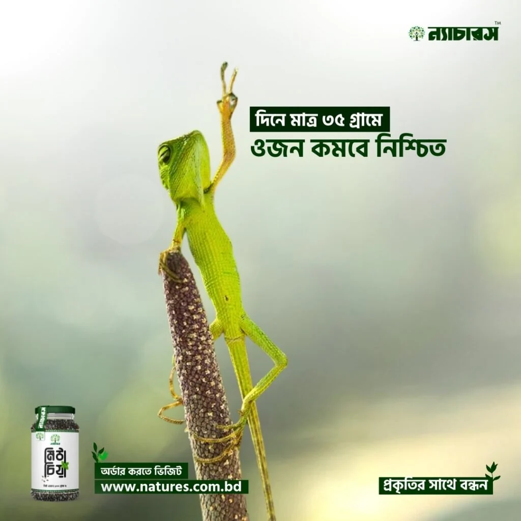 Wild Creative — Lizard Edition