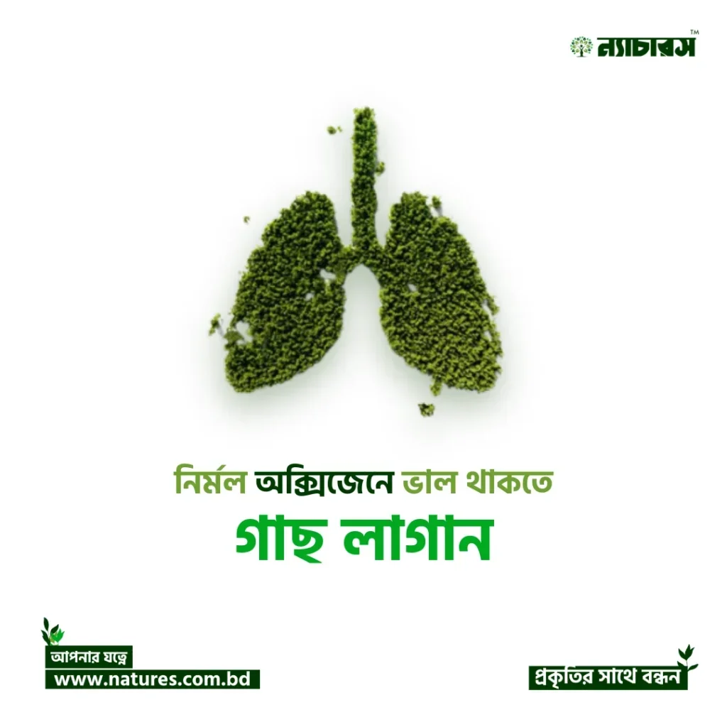 Green Lungs — Health Awareness